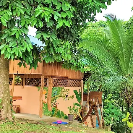 Terra Naturama - Off Grid Living In The Jungle Punta Uva Exterior photo