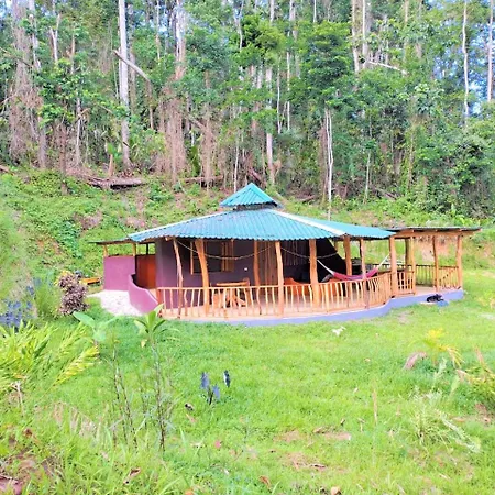 Terra Naturama - Off Grid Living In The Jungle Punta Uva Exterior photo