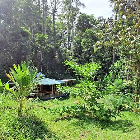 Terra Naturama - Off Grid Living In The Jungle Punta Uva Exterior photo