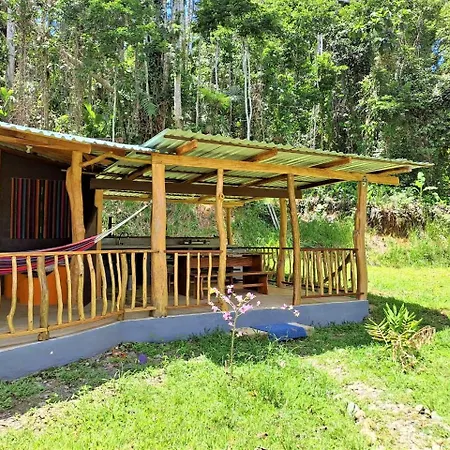 Terra Naturama - Off Grid Living In The Jungle Punta Uva Exterior photo