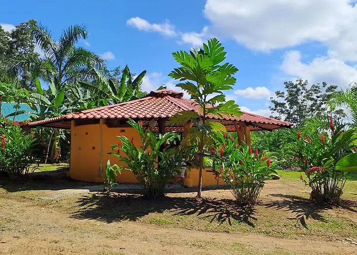 Terra Naturama - Off Grid Living In The Jungle