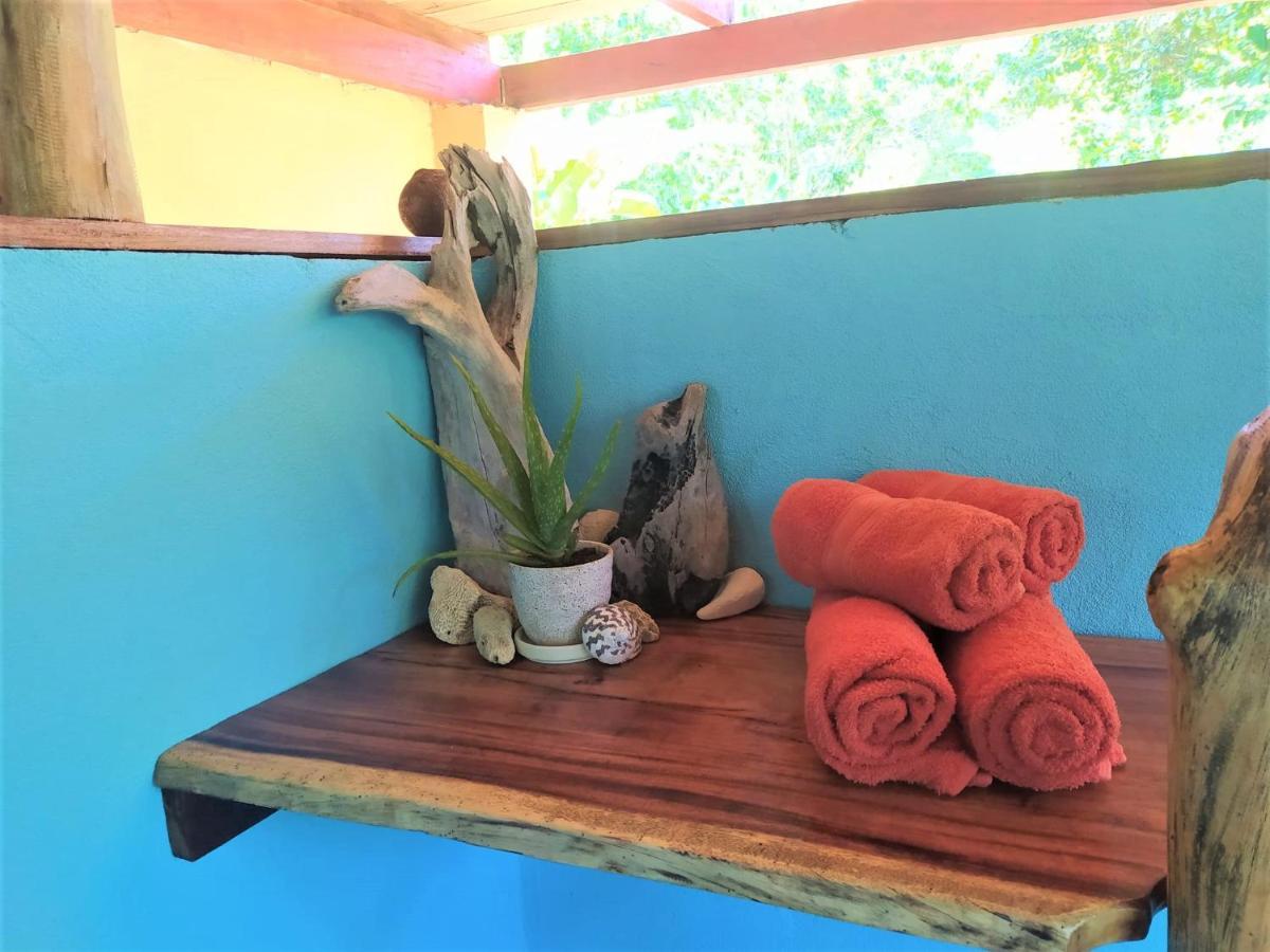 Terra Naturama - Off Grid Living In The Jungle Punta Uva