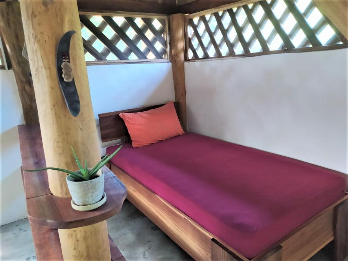 Terra Naturama - Off Grid Living In The Jungle * Punta Uva