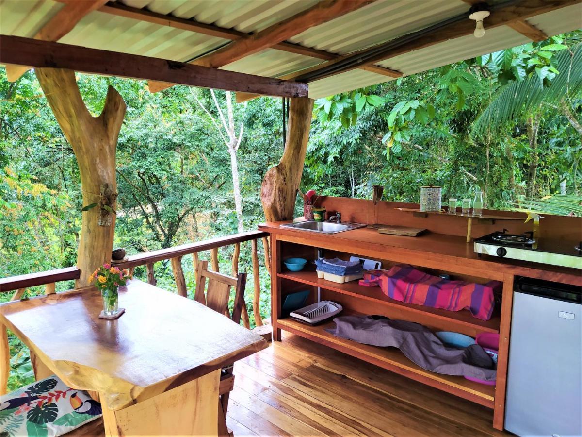 Terra Naturama - Off Grid Living In The Jungle Punta Uva