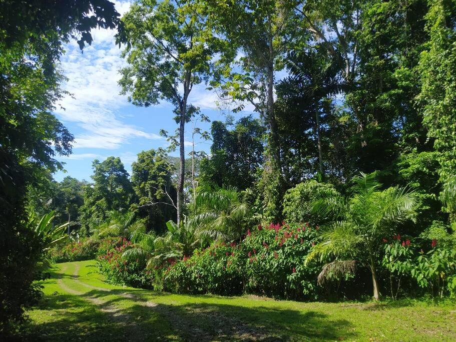 Holiday home Terra Naturama - Off Grid Living In The Jungle Punta Uva