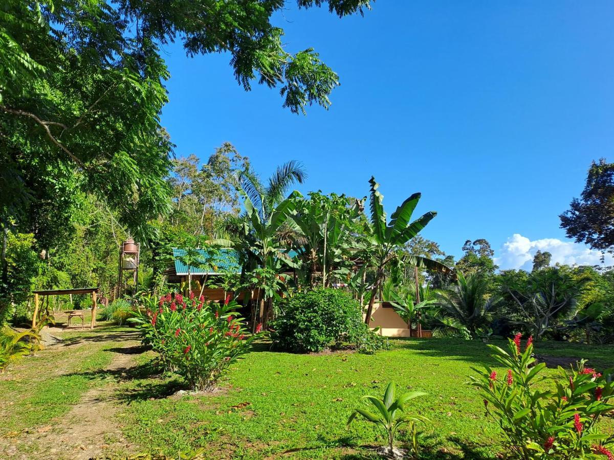 Terra Naturama - Off Grid Living In The Jungle * Punta Uva
