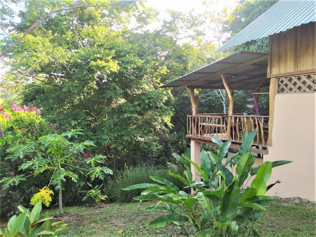 Terra Naturama - Off Grid Living In The Jungle Holiday home Punta Uva