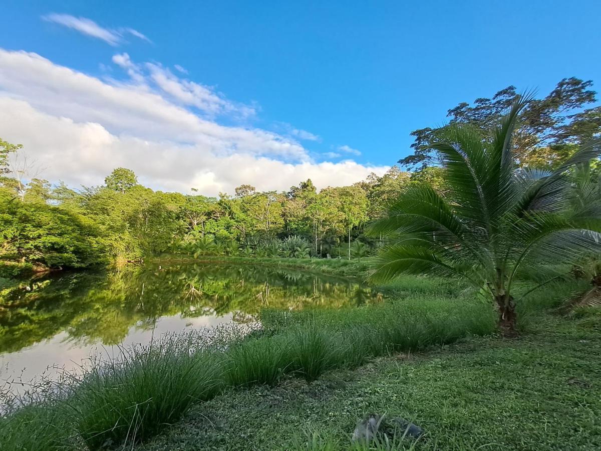 Holiday home Terra Naturama - Off Grid Living In The Jungle Punta Uva