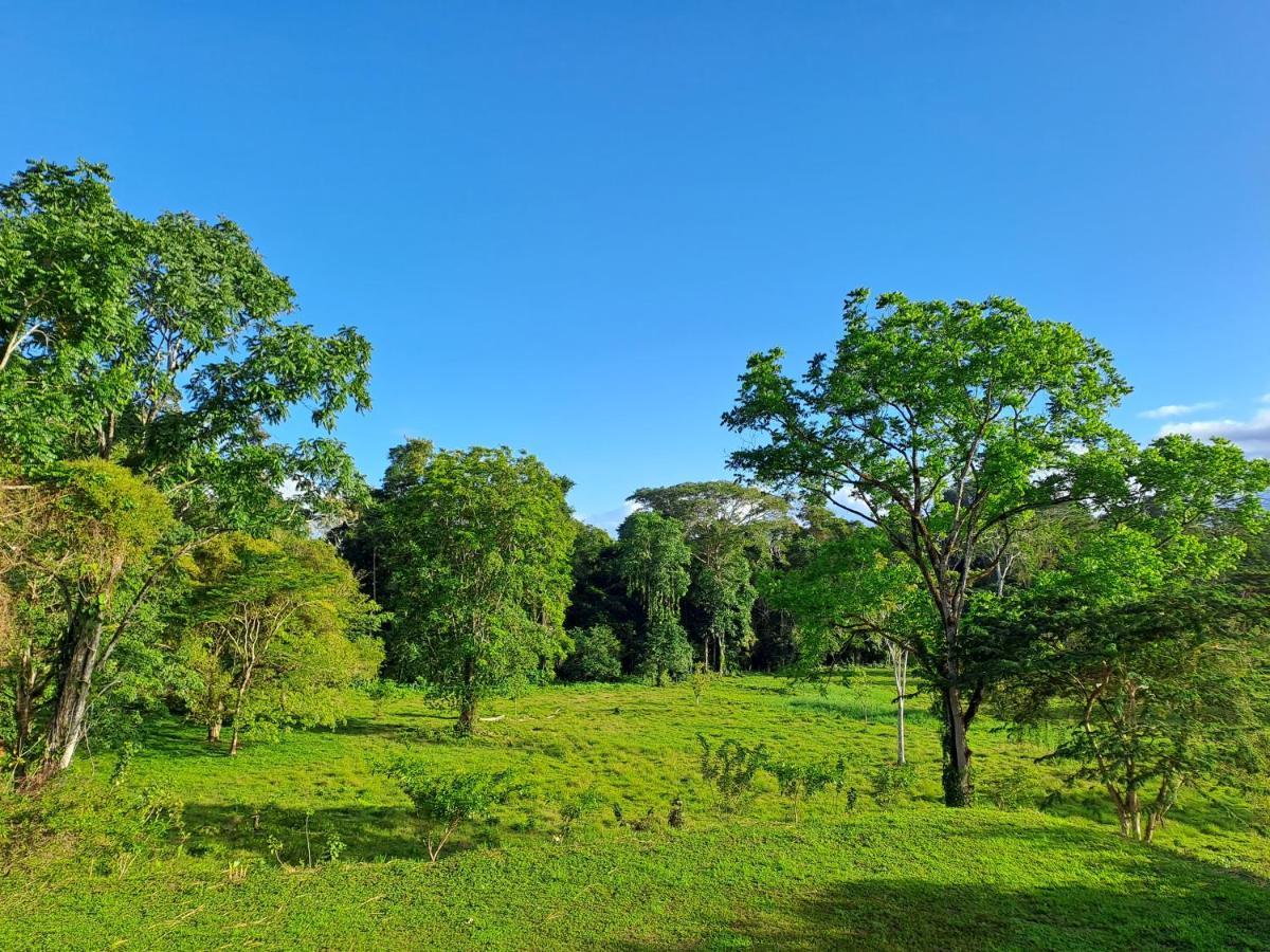 Terra Naturama - Off Grid Living In The Jungle Holiday home *