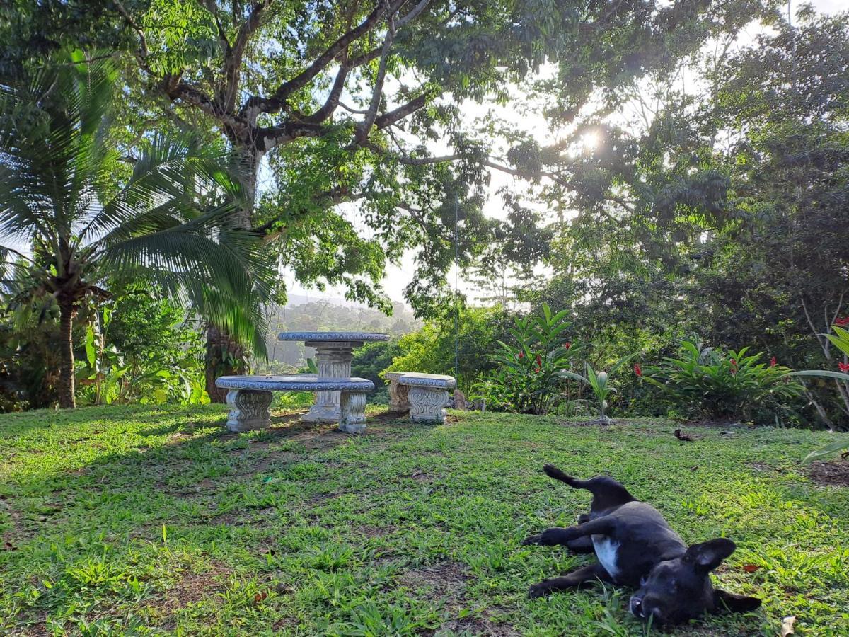 Terra Naturama - Off Grid Living In The Jungle Holiday home Punta Uva