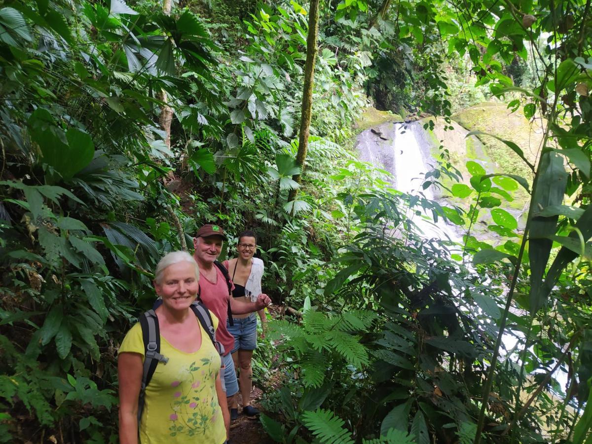 Terra Naturama - Off Grid Living In The Jungle Holiday home
