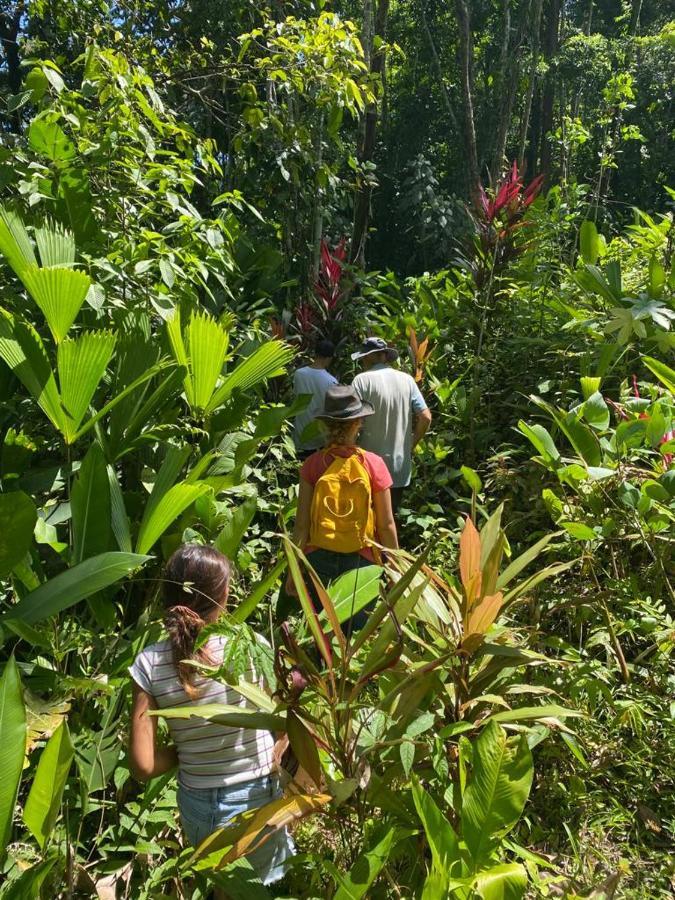 Holiday home Terra Naturama - Off Grid Living In The Jungle *