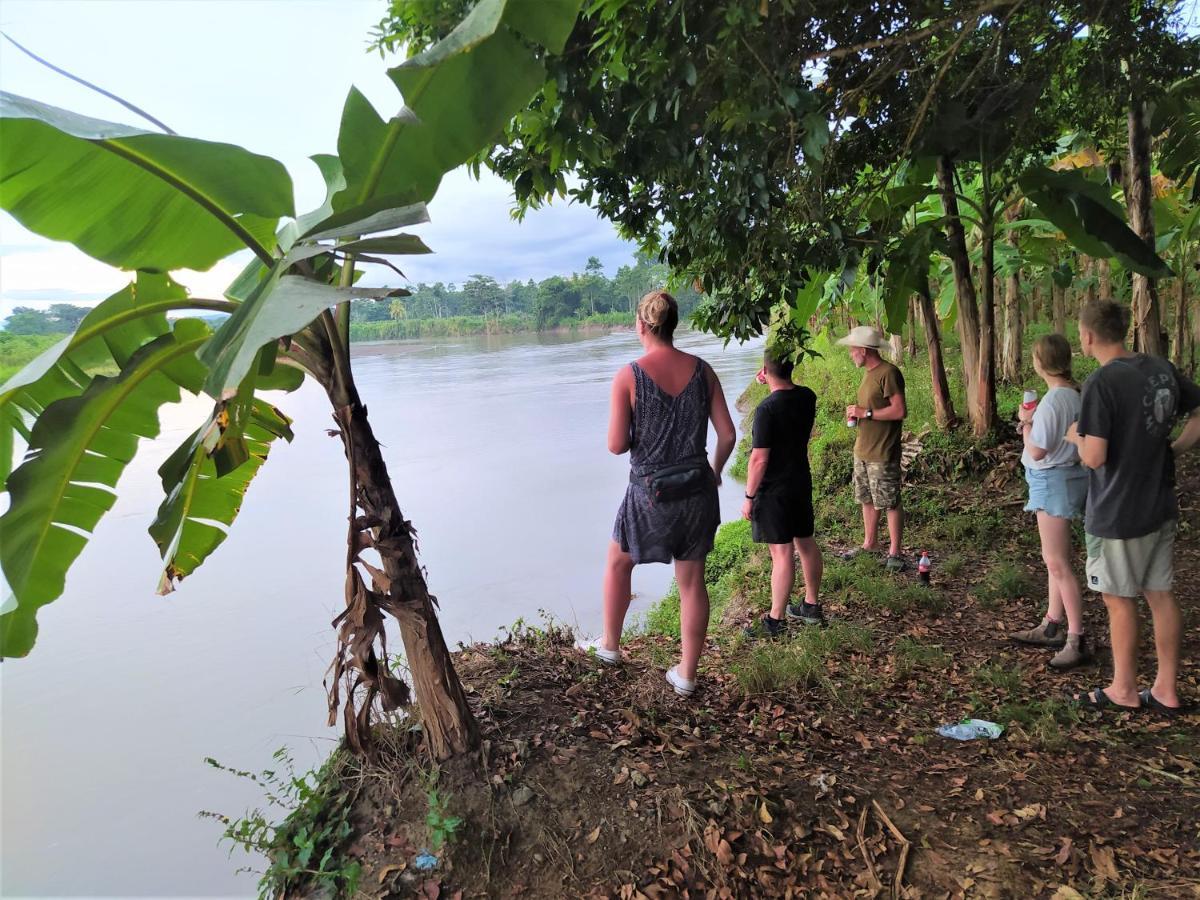 Terra Naturama - Off Grid Living In The Jungle