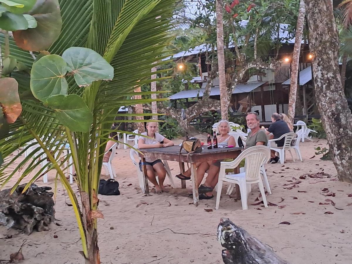 Terra Naturama - Off Grid Living In The Jungle * Punta Uva