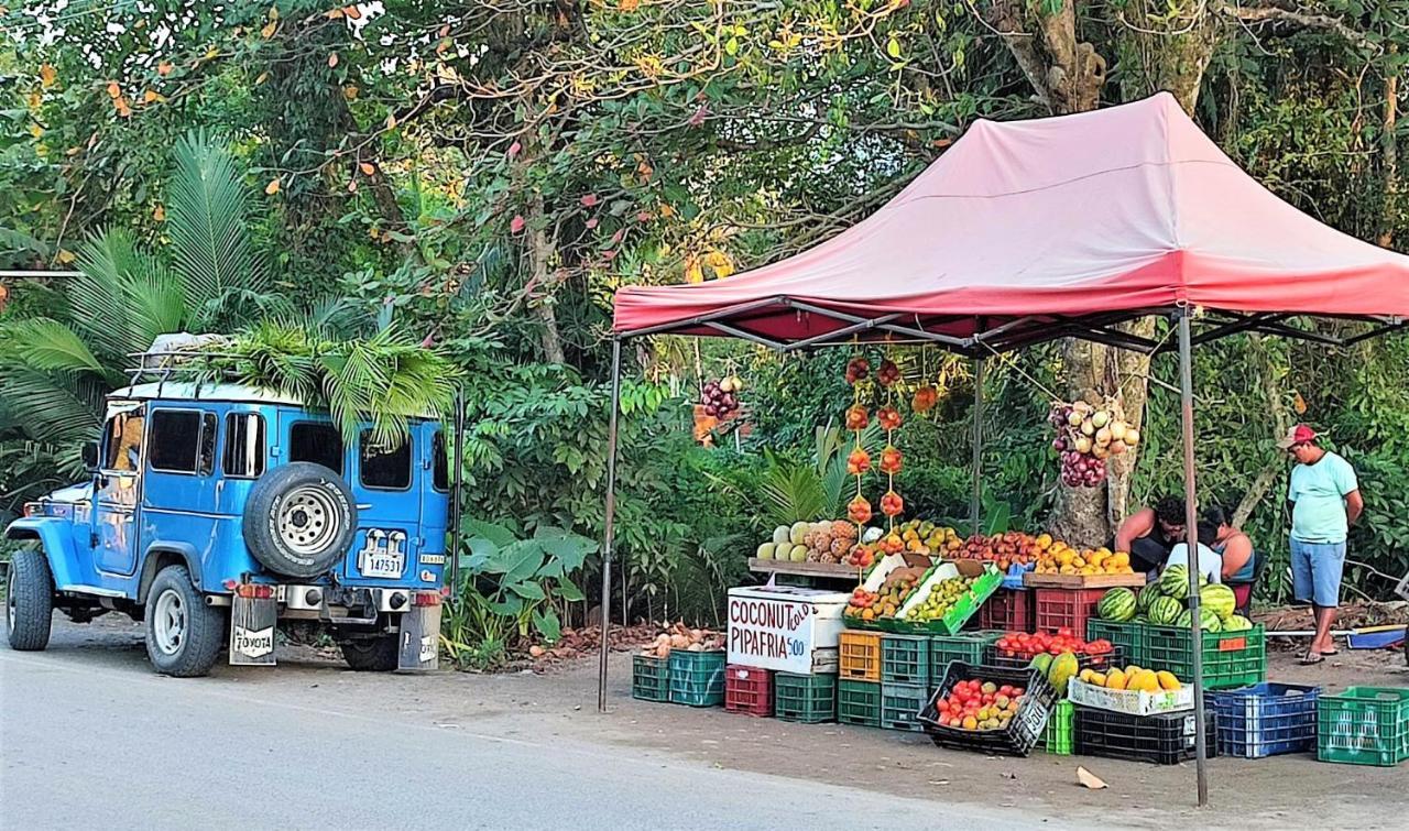 Holiday home Terra Naturama - Off Grid Living In The Jungle Punta Uva