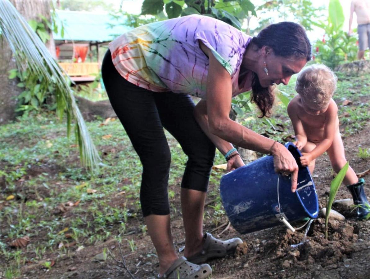 Terra Naturama - Off Grid Living In The Jungle *