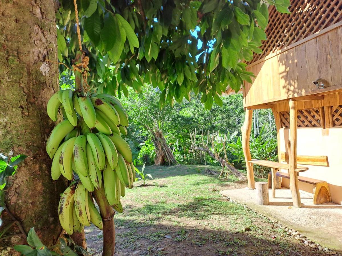 Terra Naturama - Off Grid Living In The Jungle Holiday home *