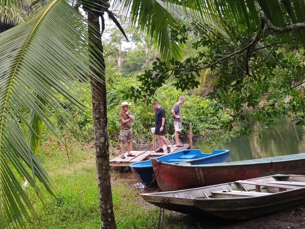 Holiday home Terra Naturama - Off Grid Living In The Jungle *