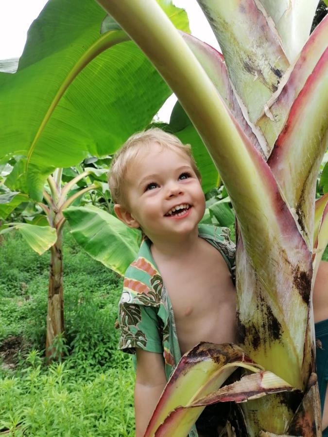 Terra Naturama - Off Grid Living In The Jungle Holiday home Punta Uva