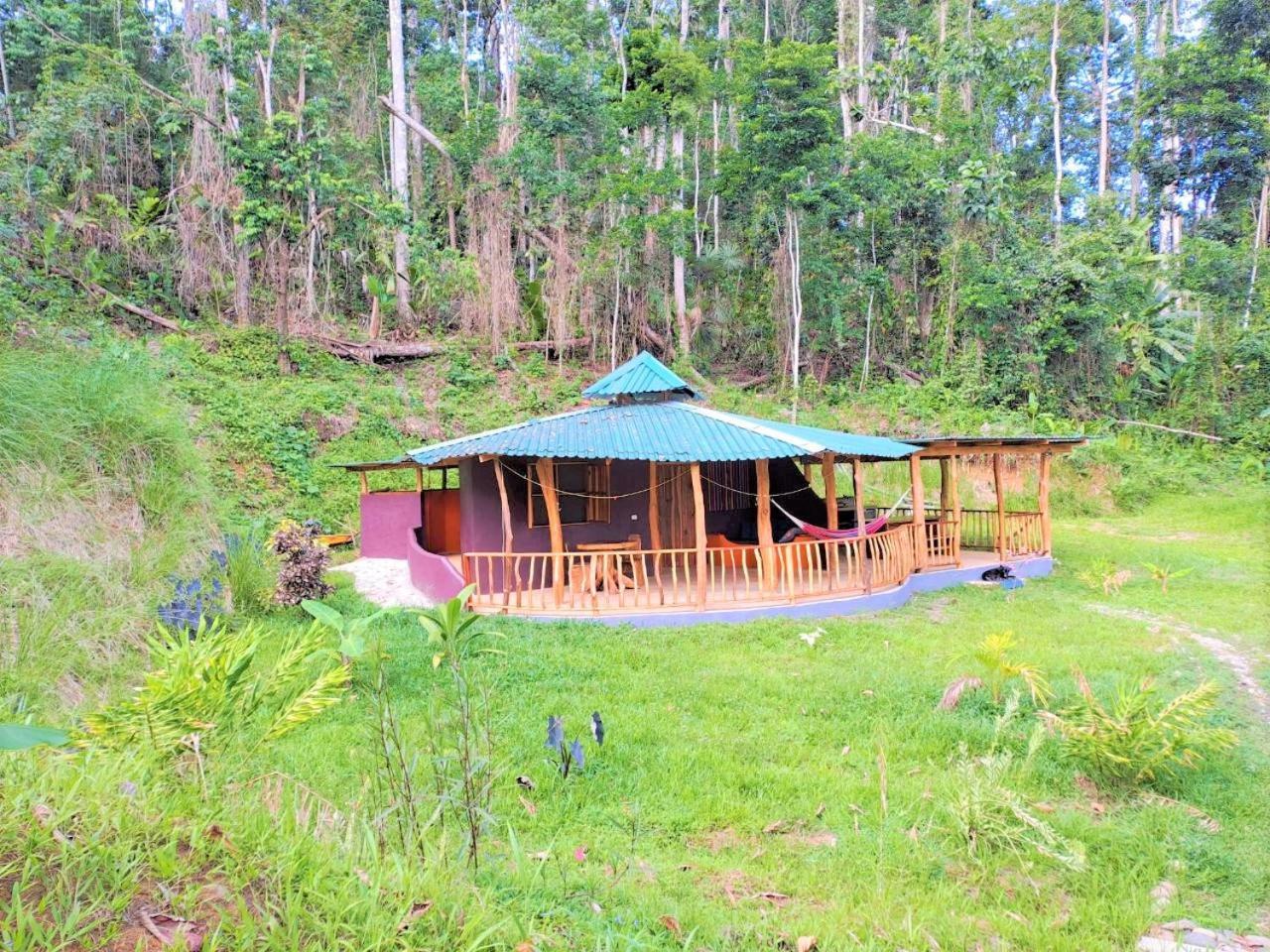Terra Naturama - Off Grid Living In The Jungle Holiday home