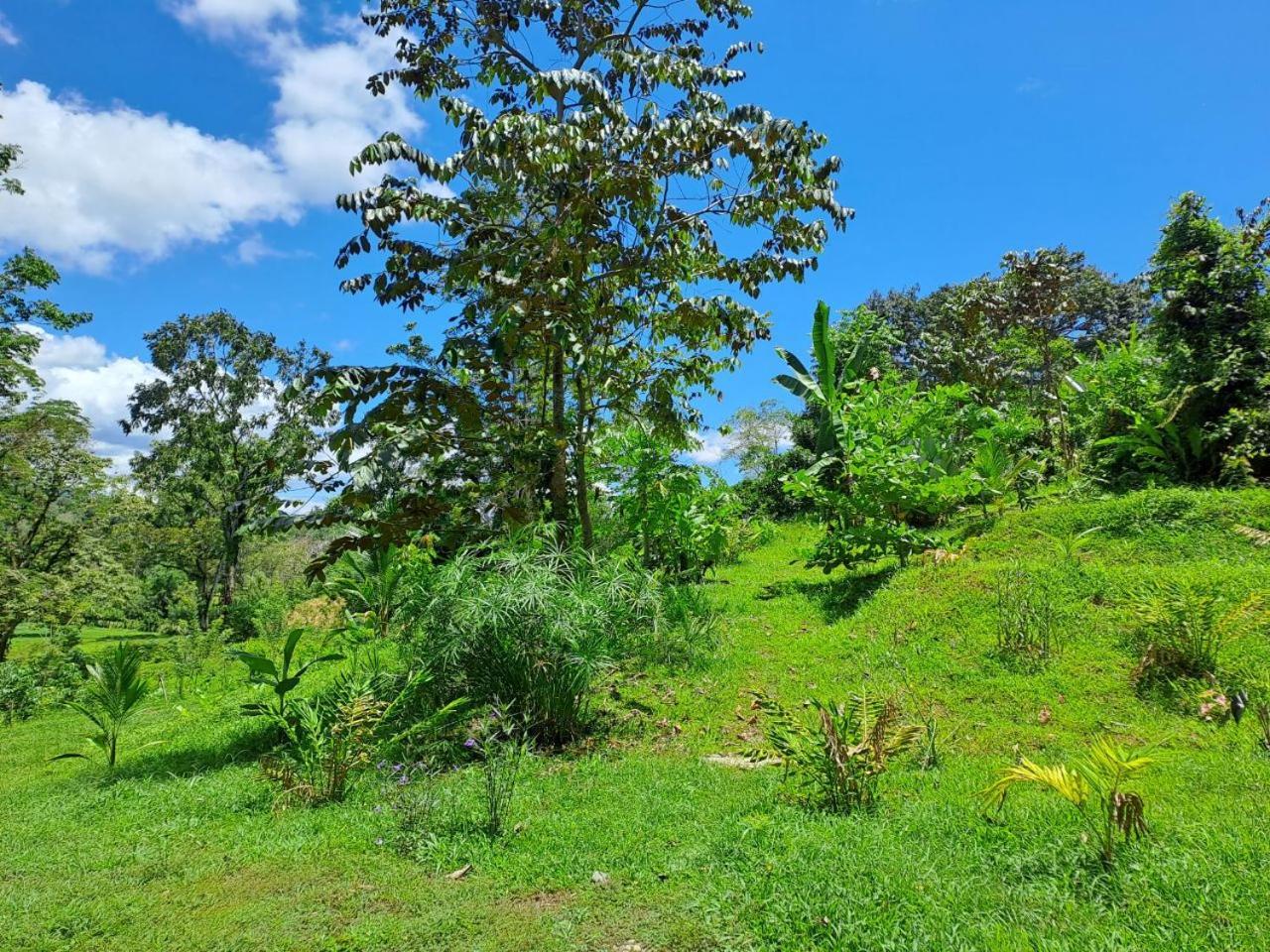 Holiday home Terra Naturama - Off Grid Living In The Jungle *