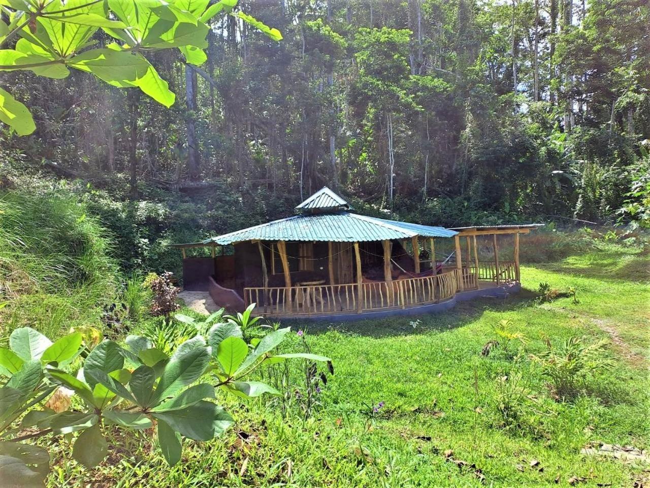 Terra Naturama - Off Grid Living In The Jungle Holiday home